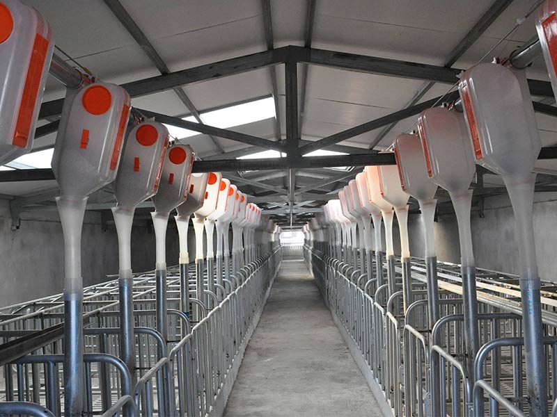 未來七年，中國豬肉產能將新增1400萬頭！這類養豬場前景廣闊！